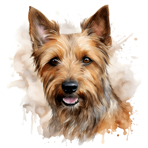 Australian Terrier (4) Poster Canvas Movie Film Print A0 A1 A2 A3 A4 A5 A6 Art W