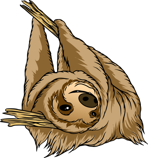 Sloth 10 Poster Canvas Movie Film Print A0 A1 A2 A3 A4 A5 A6 Art Wall Decoration