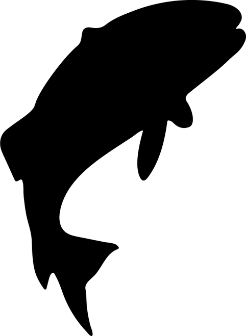 fish b (2) Poster Canvas Movie Film Print A0 A1 A2 A3 A4 A5 A6 Art Wall Decorati