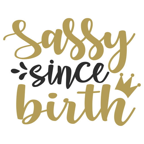 SASSY SINCE BIRTH-01 Poster Canvas Movie Film Print A0 A1 A2 A3 A4 A5 A6 Art Wal