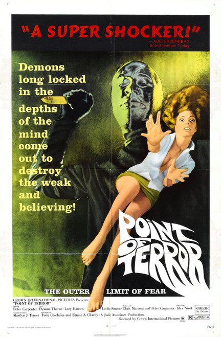 Point Of Terror 01 Poster Canvas Movie Film Print A0 A1 A2 A3 A4 A5 A6 Art Wall