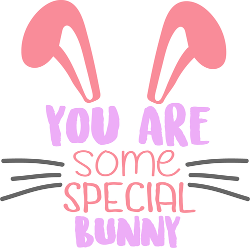 YOU ARE SOME SPECIAL BUNNY (2) Poster Canvas Movie Film Print A0 A1 A2 A3 A4 A5
