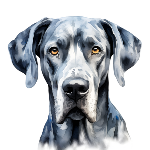 Great Dane (4) Poster Canvas Print Art Painting Decor Reprint wall A0 A1 A2 A3 A