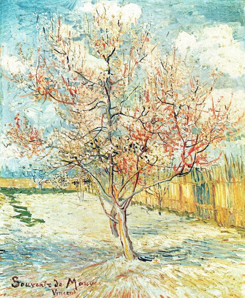 Vincent Van Gogh - Pink Peach tree in blossom 1886 Poster Canvas Movie Film Prin