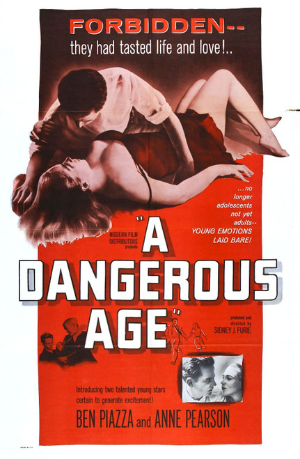 Dangerous Age 01 Poster Canvas Print Art Painting Decor Reprint wall A0 A1 A2 A3