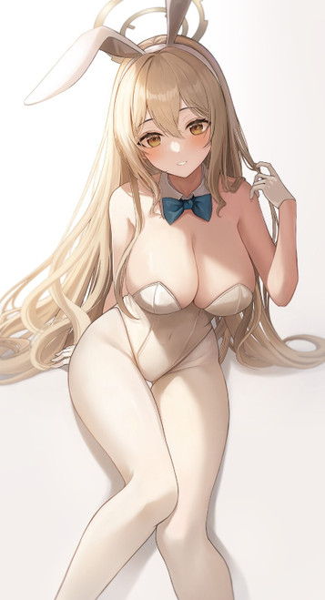 Bunny Akane Anime E Girl (2) Poster Canvas Movie Film Print A0 A1 A2 A3 A4 A5 A6