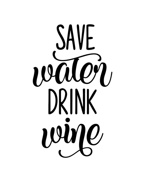 save water drink wine2 Poster Canvas Movie Film Print A0 A1 A2 A3 A4 A5 A6 Art W
