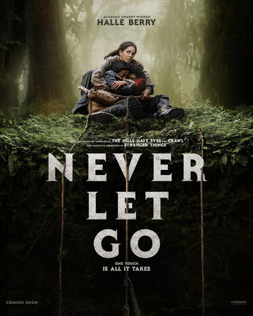 Never Let Go (2024)_2 Poster Canvas Movie Film Print A0 A1 A2 A3 A4 A5 A6 Art Wa
