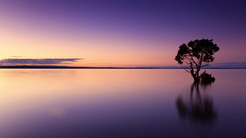 Sunset Poster Canvas Movie Film Print A0 A1 A2 A3 A4 A5 A6 Art Wall Decoration