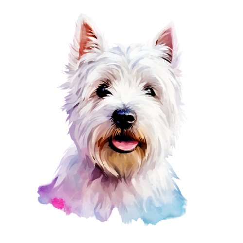 West Highland White Terrier (6) Poster Canvas Movie Film Print A0 A1 A2 A3 A4 A5