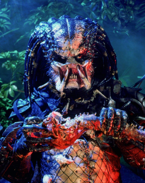 Predator 1987 (8) Poster Canvas Movie Film Print A0 A1 A2 A3 A4 A5 A6 Art Wall D