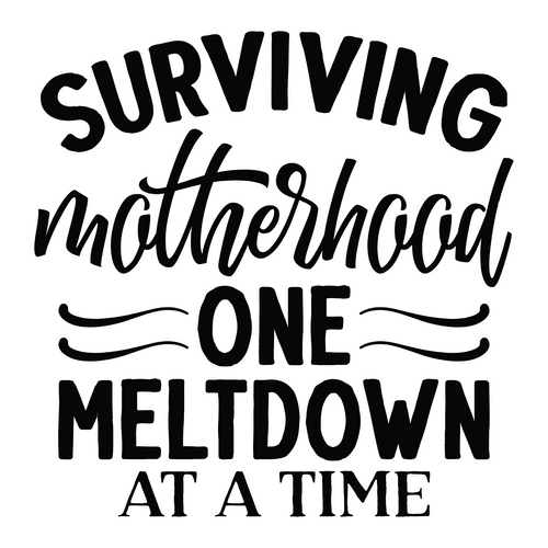 surviving motherhood one meltdown at a time-01 Poster Canvas Movie Film Print A0