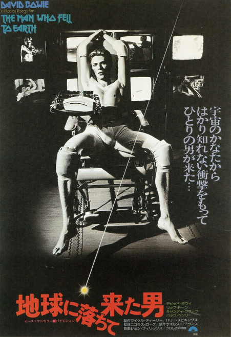 The Man Who Fell To Earth- Japanese- 1976 Poster Canvas Movie Film Print A0 A1 A