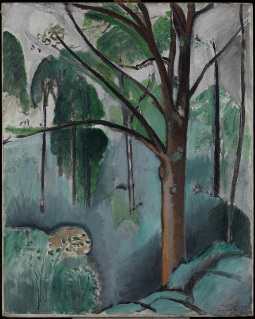 Trivaux Pond Henri Matisse