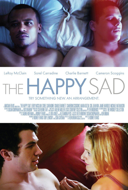 The Happy Sad (2013)_0 Poster Canvas Movie Film Print A0 A1 A2 A3 A4 A5 A6 Art W