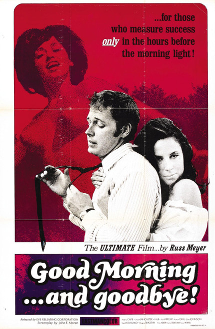 Good Morning And Goodbye 01 Poster Canvas Movie Film Print A0 A1 A2 A3 A4 A5 A6