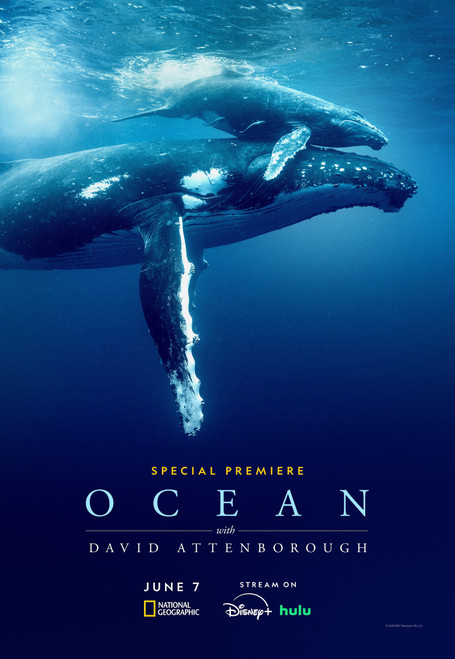 ocean-with-david-attenborough 2025 1 Poster Canvas Movie Film Print A0 A1 A2 A3 A4 A5 A6 Art W Poster Canvas iconic design