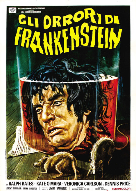Horror Of Frankenstein 02 Poster Canvas Movie Film Print A0 A1 A2 A3 A4 A5 A6 Ar