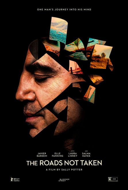 The Roads Not Taken (2020)_1 Poster Canvas Movie Film Print A0 A1 A2 A3 A4 A5 A6
