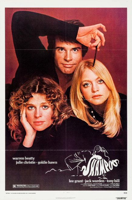 Shampoo (1975)_1 Poster Canvas Movie Film Print A0 A1 A2 A3 A4 A5 A6 Art Wall De