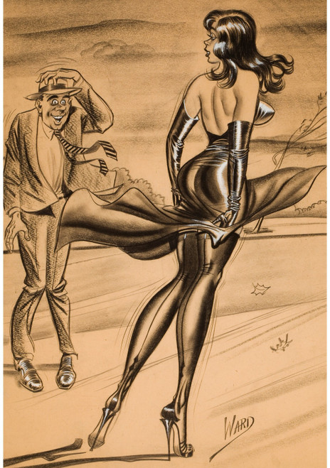 PinUp Girl - BILL WARD Admiring the View Poster Canvas Movie Film Print A0 A1 A2