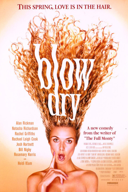 Blow Dry (2001)_1 Movie Film Poster Canvas iconic design