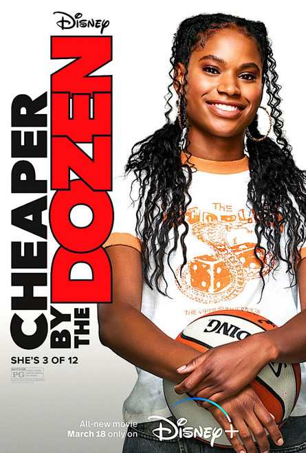 Cheaper by the Dozen (2022)_9 Movie Film Poster Canvas iconic design