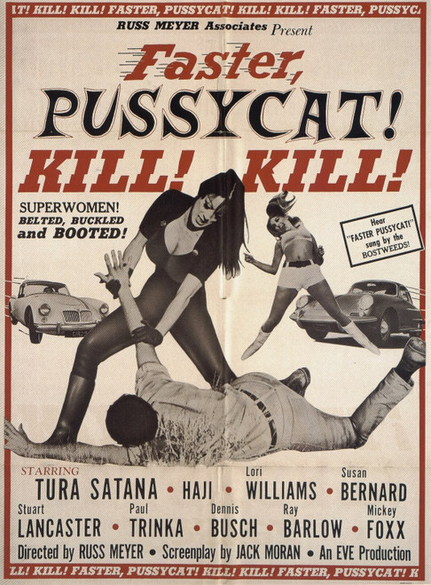faster_pussycat__kill__kill__1965_ Poster Canvas Movie Film Print A0 A1 A2 A3 A4