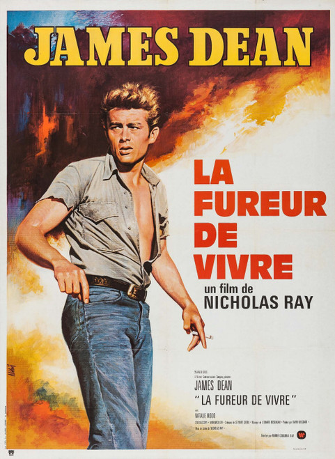 Rebel Without a Cause (1955)_12 Poster Canvas Movie Film Print A0 A1 A2 A3 A4 A5