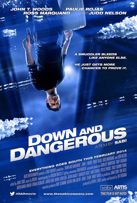 Down and Dangerous (2014)_0 Movie Film Poster Canvas iconic design