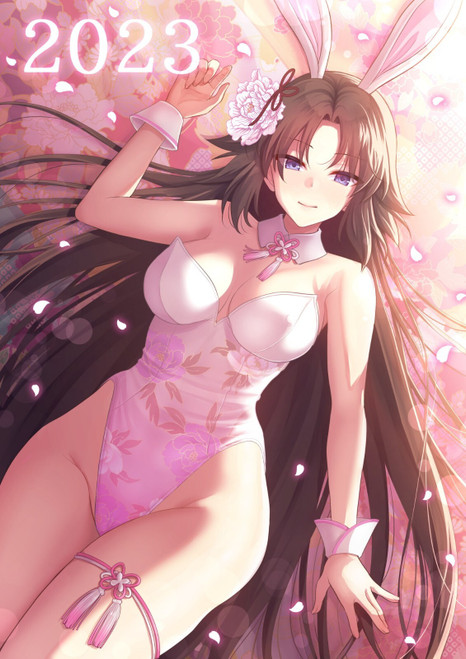 Bunny Shiki Anime E Girl Poster Canvas Movie Film Print A0 A1 A2 A3 A4 A5 A6 Art