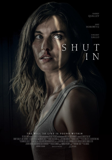 Shut In (2022)_2 Poster Canvas Movie Film Print A0 A1 A2 A3 A4 A5 A6 Art Wall De
