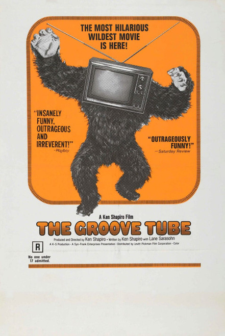 The Groove Tube (1974)_1 Poster Canvas Movie Film Print A0 A1 A2 A3 A4 A5 A6 Art