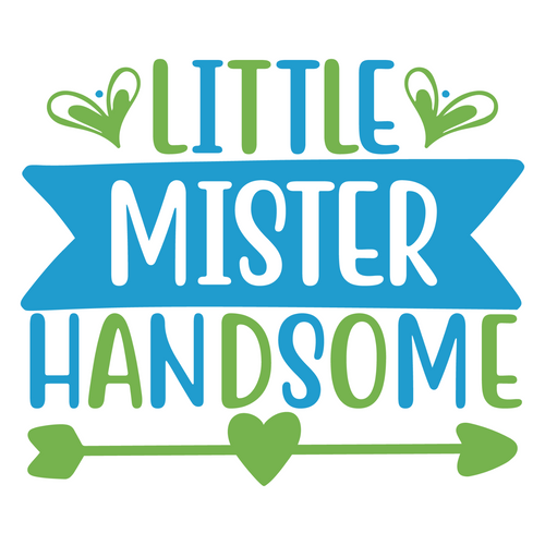Little Mister Handsome-01 (2) Sarcastic Poster Canvas Print A0 A1 A2 A3 A4 A5 A6