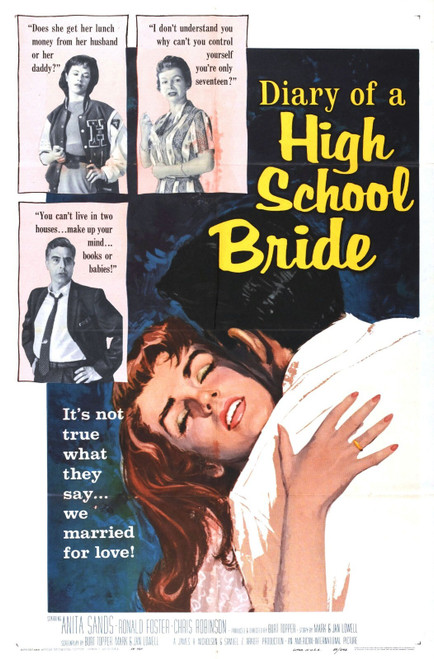 Diary Of High School Bride 01 Art Gallery Poster Canvas Print Wall Decoration A0