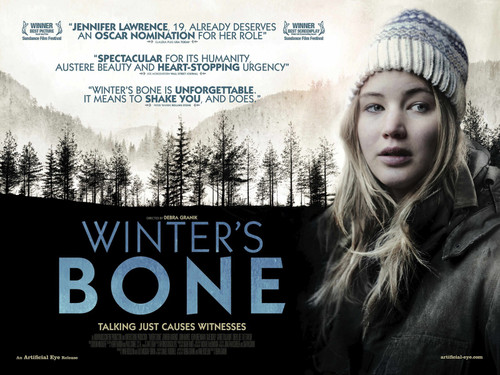 Winter_s Bone (2010)_2 Poster Canvas Movie Film Print A0 A1 A2 A3 A4 A5 A6 Art W