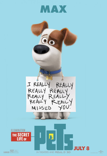 The Secret Life of Pets (2016)_7 Poster Canvas Movie Film Print A0 A1 A2 A3 A4 A