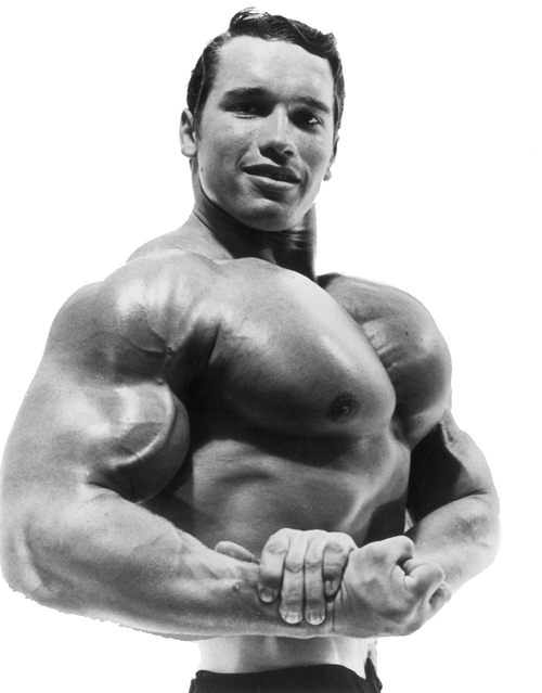 Arnold-Schwarzenegger-PNG-Isolated-Pic Poster Canvas Movie Film Print A0 A1 A2 A