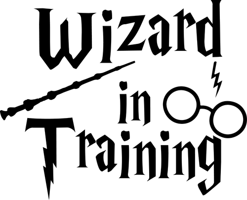40_ Wizard In Training Poster Canvas Movie Film Print A0 A1 A2 A3 A4 A5 A6 Art W