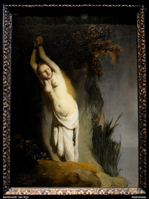 rembrandt-van-rijn---andromeda-2--jpb_26707125982_o(1) Poster Canvas Movie Film