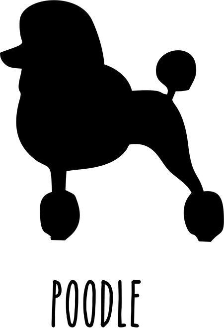 poodle (2) Funny Creative Poster Canvas Movie Film Print A0 A1 A2 A3 A4 A5 A6 Ar