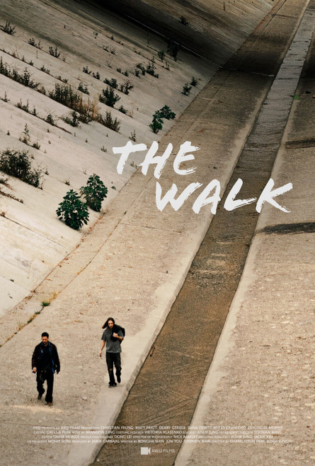 The Walk (2020)_0 Poster Canvas Movie Film Print A0 A1 A2 A3 A4 A5 A6 Art Wall D