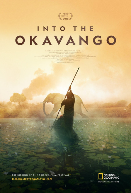Into The Okavango (2018)_0 Poster Canvas Movie Film Print A0 A1 A2 A3 A4 A5 A6 A