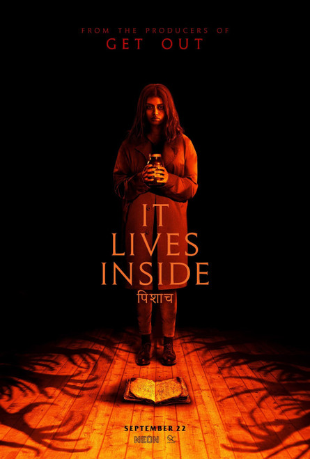 It Lives Inside (2023)_2 Poster Canvas Movie Film Print A0 A1 A2 A3 A4 A5 A6 Art