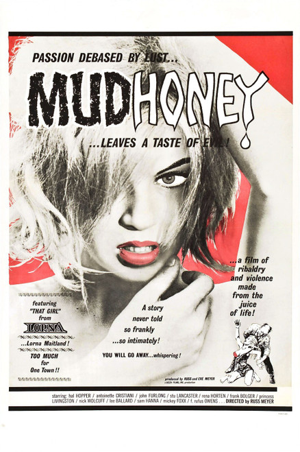 Mudhoney 01 Poster Canvas Movie Film Print A0 A1 A2 A3 A4 A5 A6 Art Wall Decorat