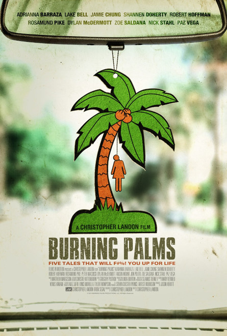 Burning Palms (2011)_1 Movie Film Poster Canvas iconic design