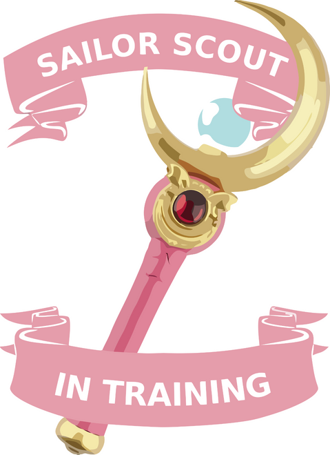 Sailor Moon (5) Poster Canvas Movie Film Print A0 A1 A2 A3 A4 A5 A6 Art Wall Dec