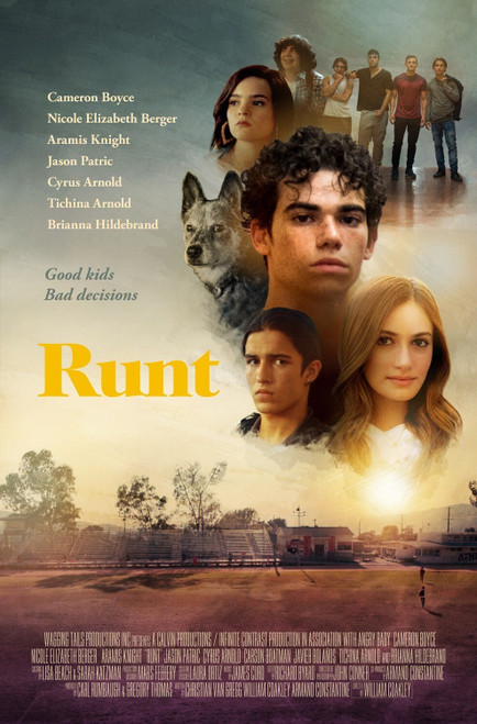 Runt (2021)_0 Poster Canvas Movie Film Print A0 A1 A2 A3 A4 A5 A6 Art Wall Decor