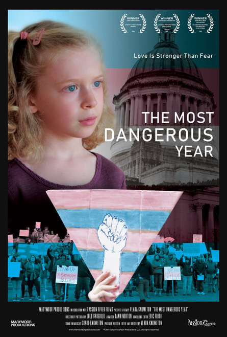 The Most Dangerous Year (2019)_0 Poster Canvas Movie Film Print A0 A1 A2 A3 A4 A