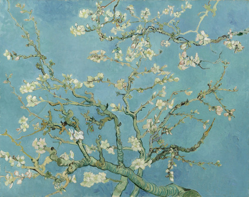 Almond blossom Van Gogh